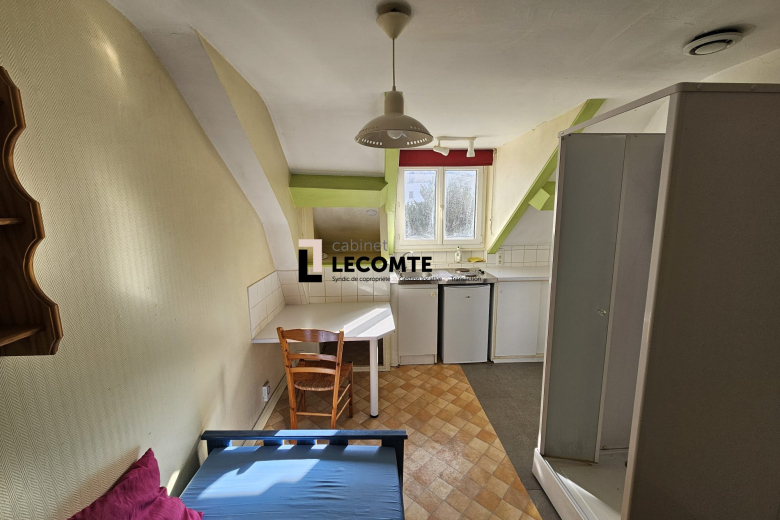 Studio en vente à Rennes (VA1952-CABINETLECOMTE35) - Photo 4