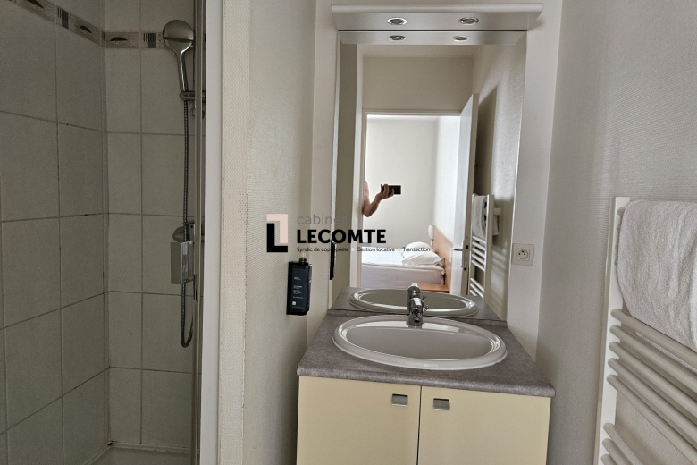 Appartement T2 en vente à Rennes (353-CABINETLECOMTE35) - Photo 6