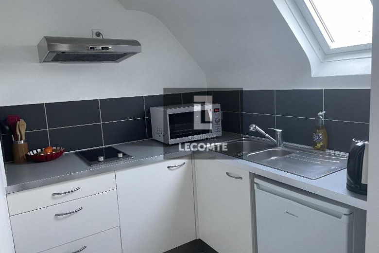 Studio en location à RENNES (GES00600043-610) - Photo 4